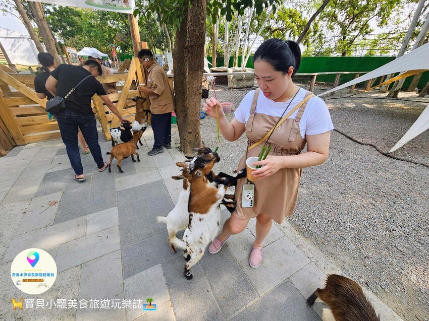 嘉義動物樂園首選!近距離餵食羊駝、水豚君,挑戰極限遊樂設施超好玩。