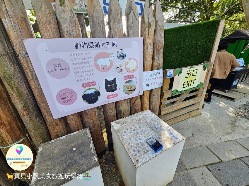 嘉義動物樂園首選!近距離餵食羊駝、水豚君,挑戰極限遊樂設施超好玩。