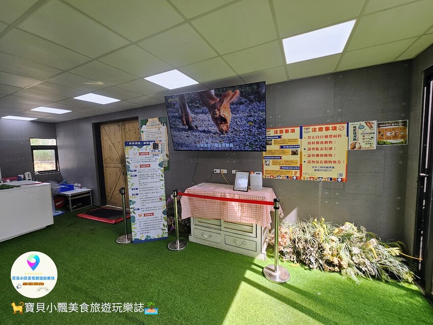 嘉義動物樂園首選!近距離餵食羊駝、水豚君,挑戰極限遊樂設施超好玩。