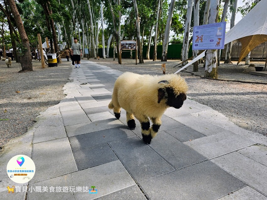 嘉義動物樂園首選!近距離餵食羊駝、水豚君,挑戰極限遊樂設施超好玩。