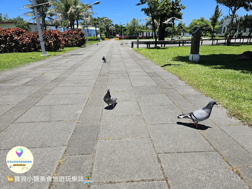 花蓮縣花蓮市[食]花蓮 台灣海礦館 台肥花蓮深層海水園區 全國第一間海礦探索館 免費參觀
