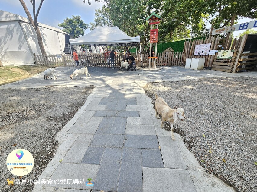 嘉義動物樂園首選!近距離餵食羊駝、水豚君,挑戰極限遊樂設施超好玩。