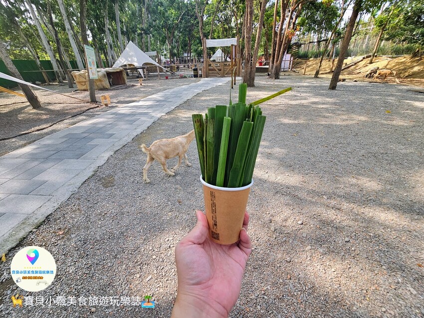 嘉義動物樂園首選!近距離餵食羊駝、水豚君,挑戰極限遊樂設施超好玩。