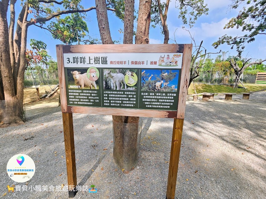 嘉義動物樂園首選!近距離餵食羊駝、水豚君,挑戰極限遊樂設施超好玩。