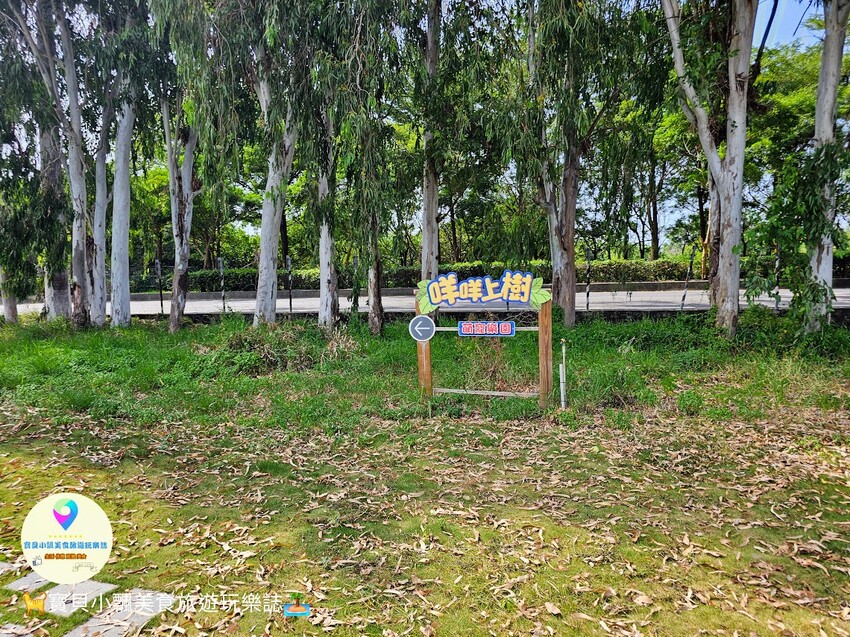 嘉義動物樂園首選!近距離餵食羊駝、水豚君,挑戰極限遊樂設施超好玩。