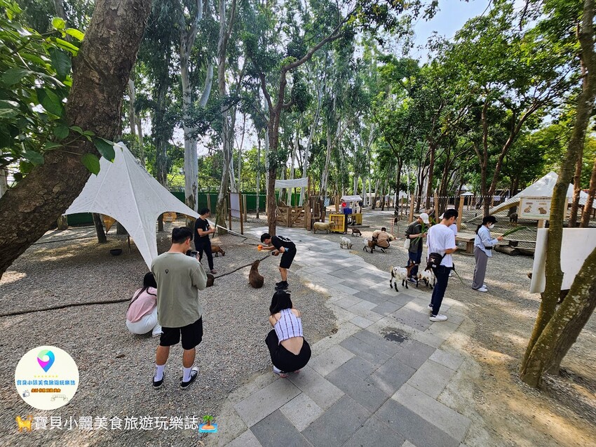 嘉義動物樂園首選!近距離餵食羊駝、水豚君,挑戰極限遊樂設施超好玩。