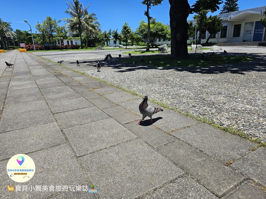 花蓮縣花蓮市[食]花蓮 台灣海礦館 台肥花蓮深層海水園區 全國第一間海礦探索館 免費參觀