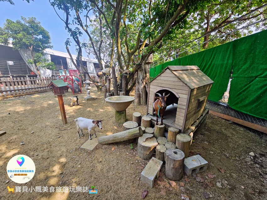 嘉義動物樂園首選!近距離餵食羊駝、水豚君,挑戰極限遊樂設施超好玩。