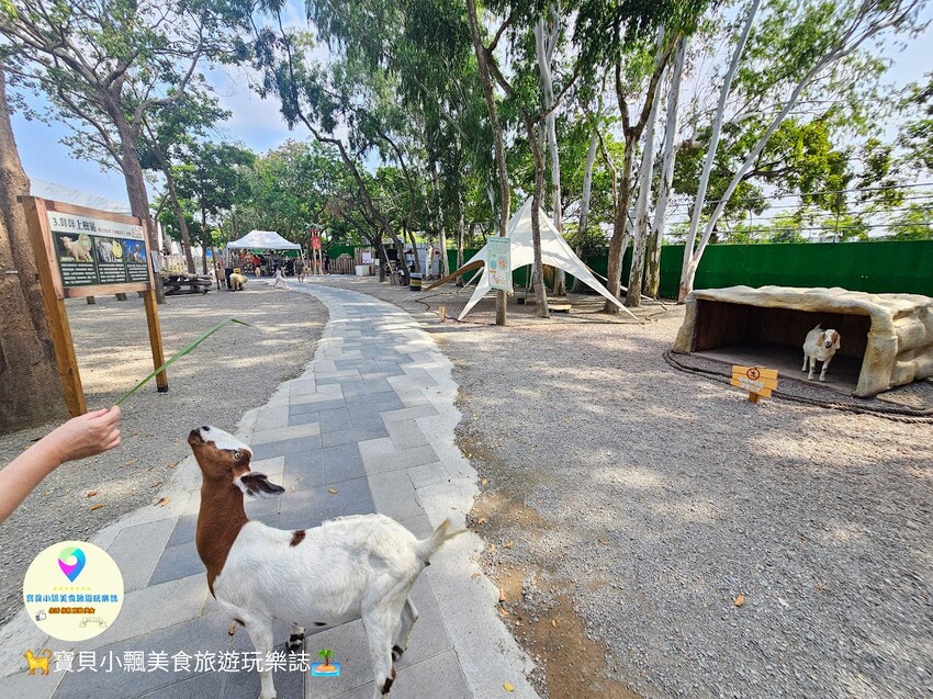 嘉義動物樂園首選!近距離餵食羊駝、水豚君,挑戰極限遊樂設施超好玩。