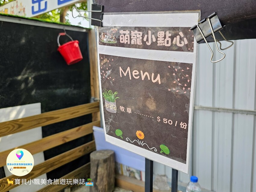 嘉義動物樂園首選!近距離餵食羊駝、水豚君,挑戰極限遊樂設施超好玩。