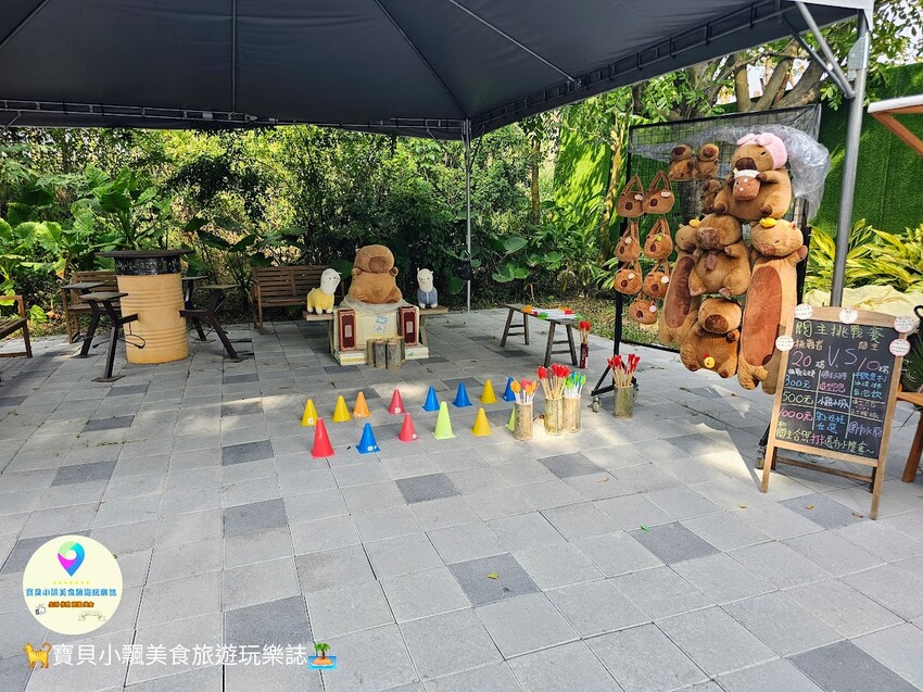 嘉義動物樂園首選!近距離餵食羊駝、水豚君,挑戰極限遊樂設施超好玩。