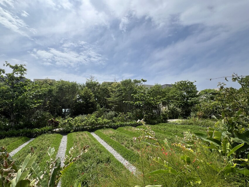 日本沖繩住宿篇：星野集團虹夕諾雅沖繩。無邊際泳池。柔道活動體