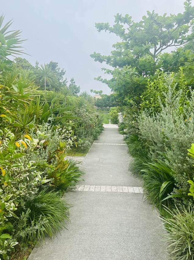 日本沖繩住宿篇：星野集團虹夕諾雅沖繩。無邊際泳池。柔道活動體