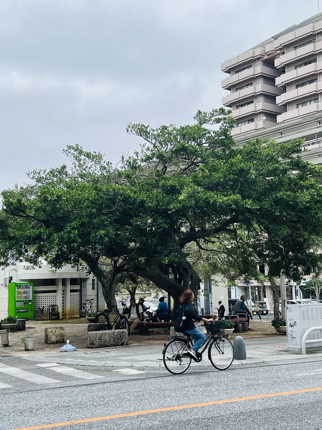 沖繩那霸國際通：沖繩最熱鬧商店街以及餐廳推薦