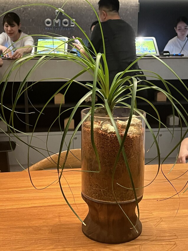 日本沖繩那霸市住宿：星野集團OMO5系列飯店