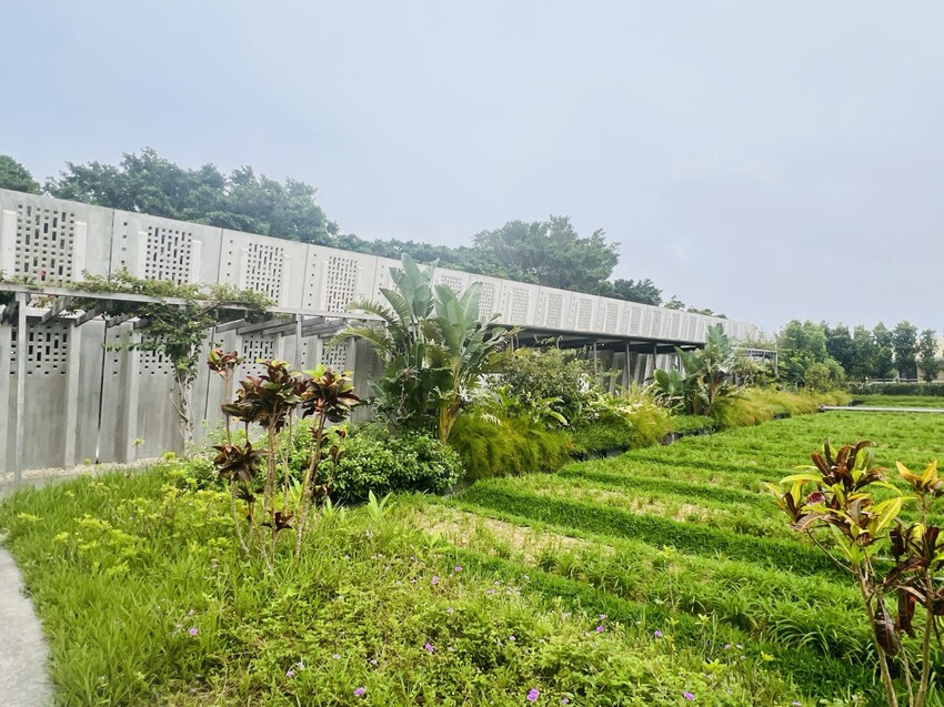 日本沖繩住宿篇：星野集團虹夕諾雅沖繩。無邊際泳池。柔道活動體