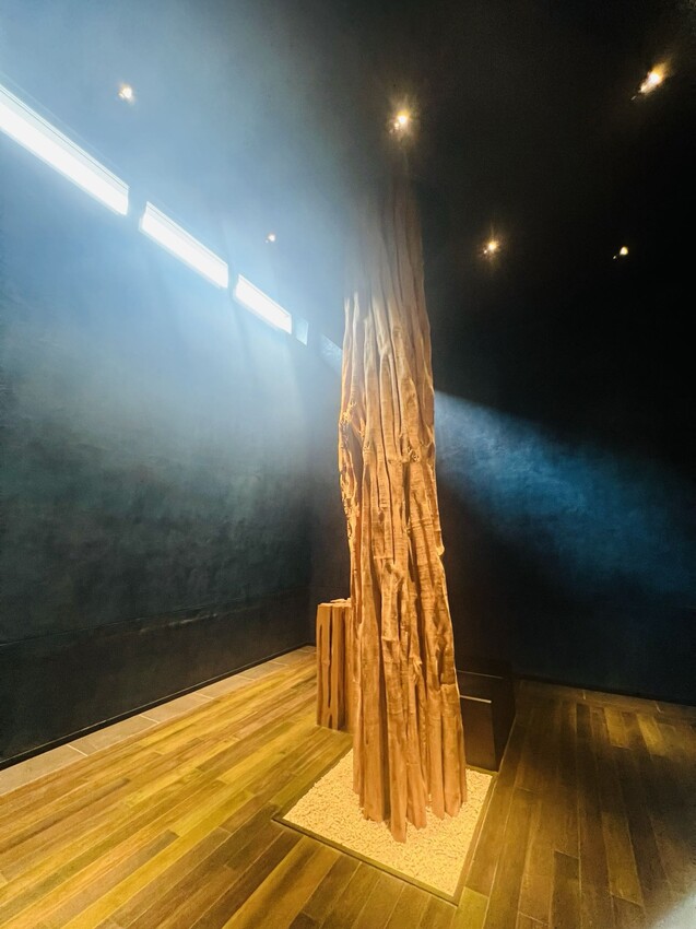 日本沖繩住宿篇：星野集團虹夕諾雅沖繩。無邊際泳池。柔道活動體