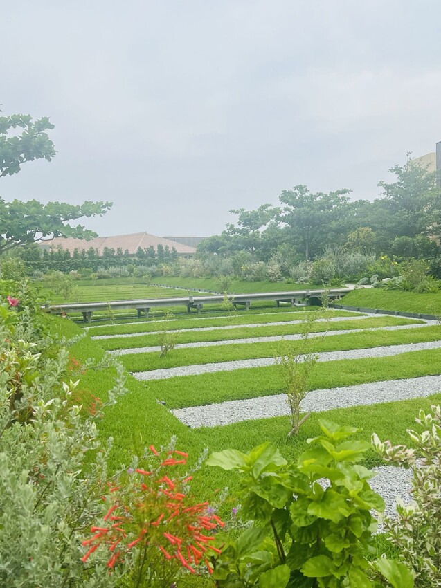 日本沖繩住宿篇：星野集團虹夕諾雅沖繩。無邊際泳池。柔道活動體
