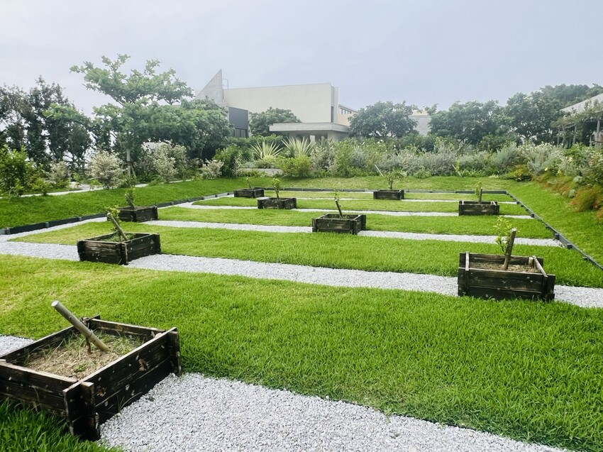 日本沖繩住宿篇：星野集團虹夕諾雅沖繩。無邊際泳池。柔道活動體