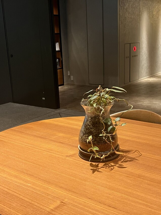 日本沖繩那霸市住宿：星野集團OMO5系列飯店