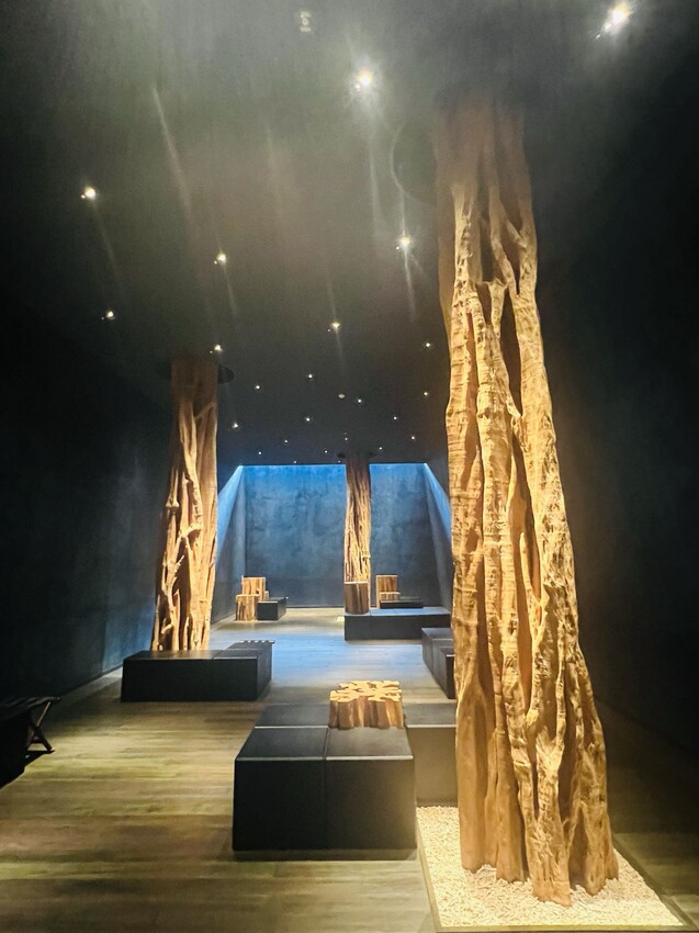 日本沖繩住宿篇：星野集團虹夕諾雅沖繩。無邊際泳池。柔道活動體