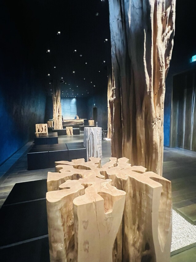 日本沖繩住宿篇：星野集團虹夕諾雅沖繩。無邊際泳池。柔道活動體