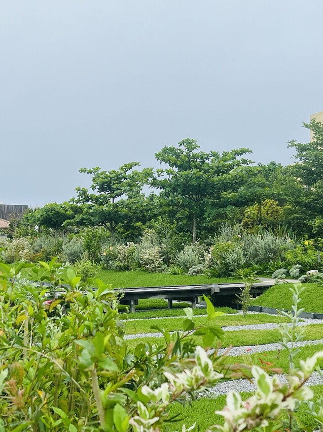 日本沖繩住宿篇：星野集團虹夕諾雅沖繩。無邊際泳池。柔道活動體