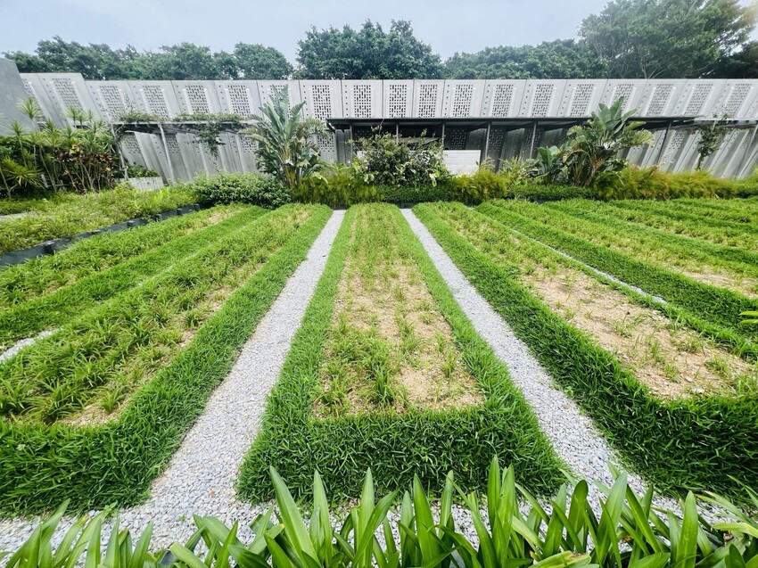 日本沖繩住宿篇：星野集團虹夕諾雅沖繩。無邊際泳池。柔道活動體
