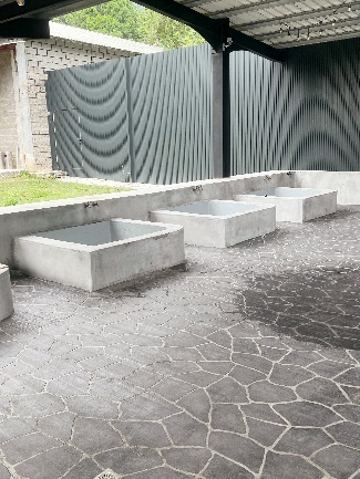 南投縣國姓鄉泰雅渡假村交通攻略【輕旅行】,不用開車也能到【泰雅渡假村】Atayal Resort!守護木³島 邁向勇士之路の考驗,原住民文化體驗,親子旅行,迎新團康活動!【南投旅遊】