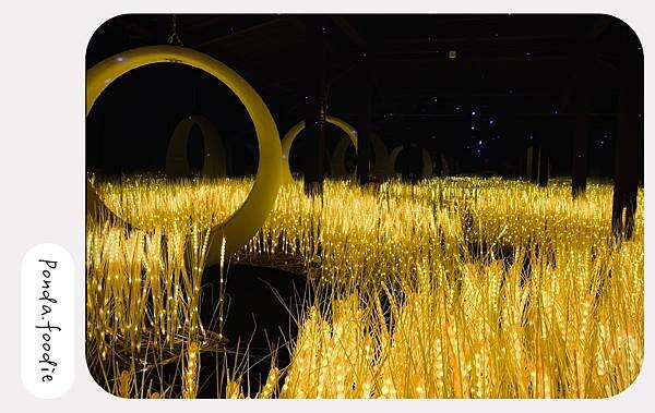 馬來西亞|探訪巴雅英達濕地公園、雞場街、馬六甲文化巡禮輕旅行 馬來西亞|探訪巴雅英達濕地公園、雞場街、馬六甲文化巡禮輕旅行