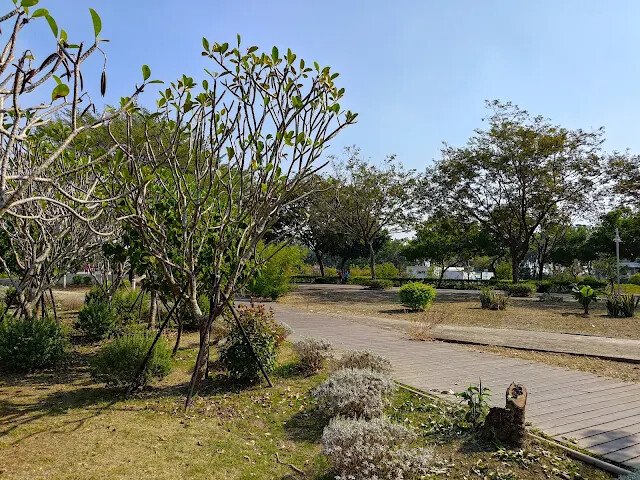 溪州公園 - 綠意湖 溪州公園 - 綠意湖