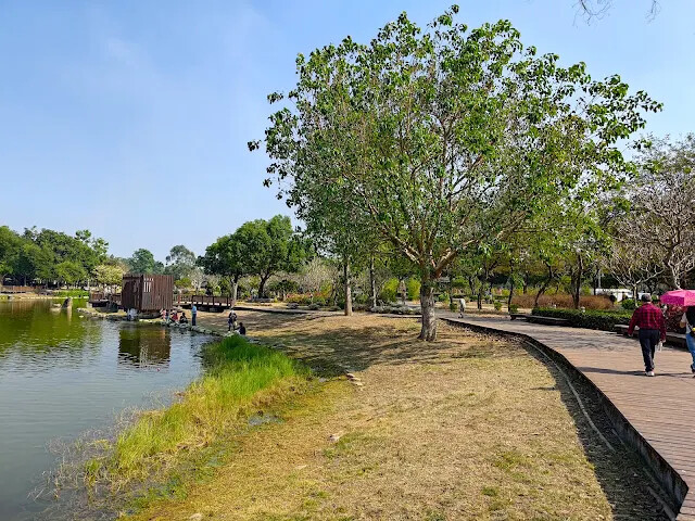 溪州公園 - 綠意湖 溪州公園 - 綠意湖