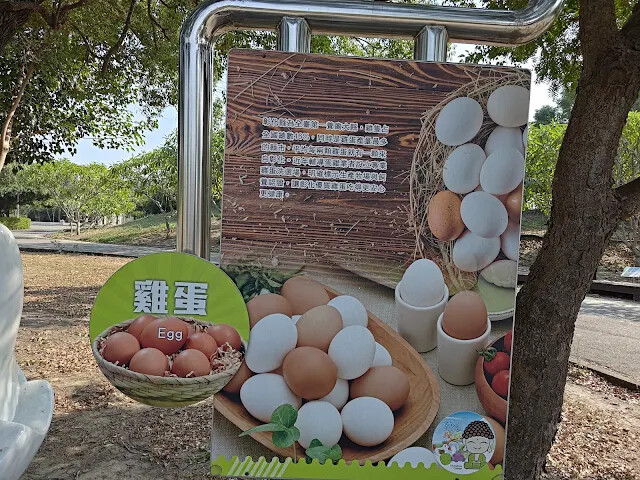 溪州公園 - 雞蛋 溪州公園 - 雞蛋