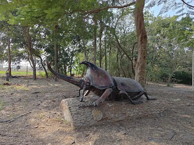 溪州公園 - 獨角仙 溪州公園 - 獨角仙