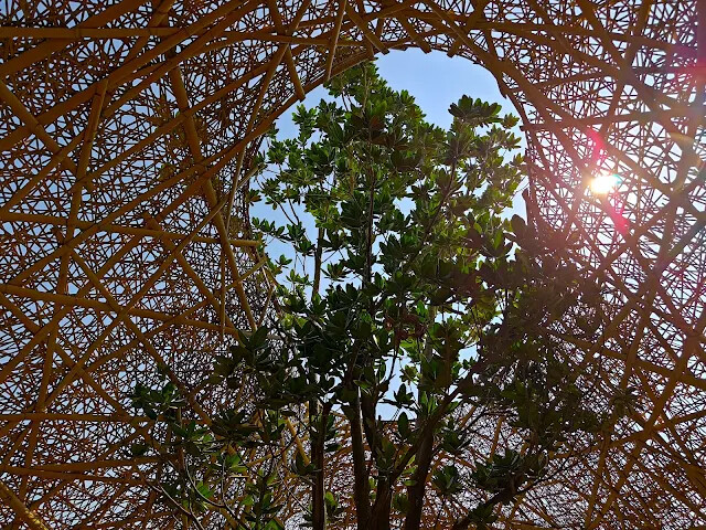 溪州公園 - 草原區 溪州公園 - 草原區