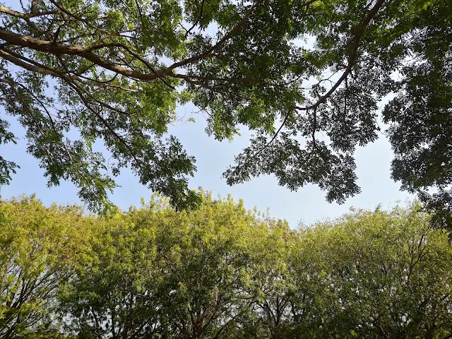 溪州公園 - 停車場 溪州公園 - 停車場