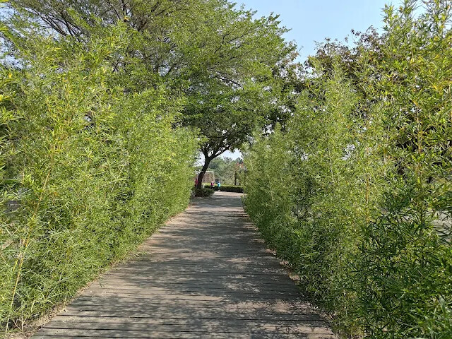溪州公園 - 綠意湖 溪州公園 - 綠意湖