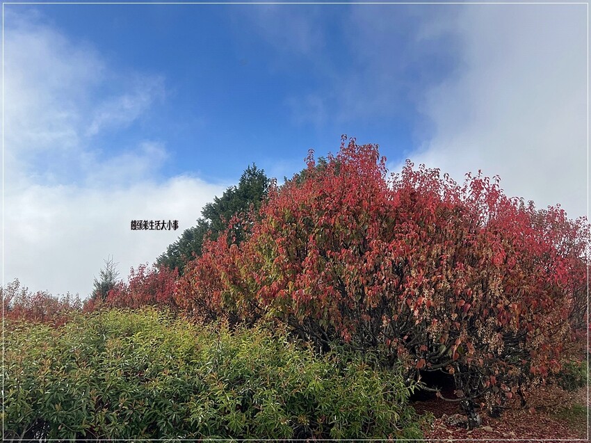 /tmp/php5GSGuU /tmp/php5GSGuU