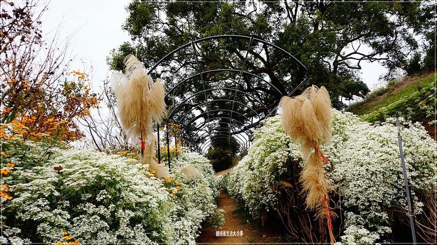 /tmp/phptV631Y /tmp/phptV631Y