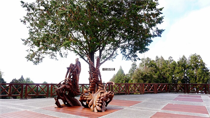 /tmp/phppaOXrB /tmp/phppaOXrB