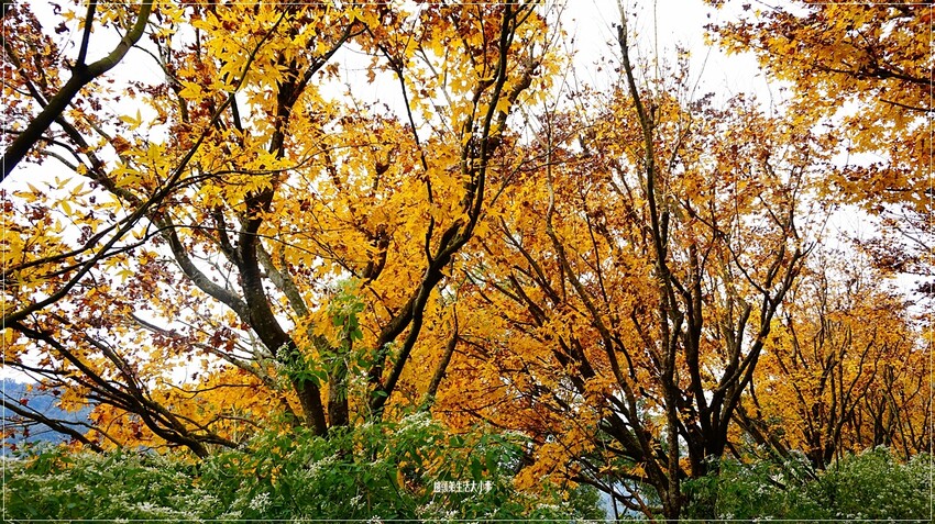 /tmp/php9bVxTe /tmp/php9bVxTe