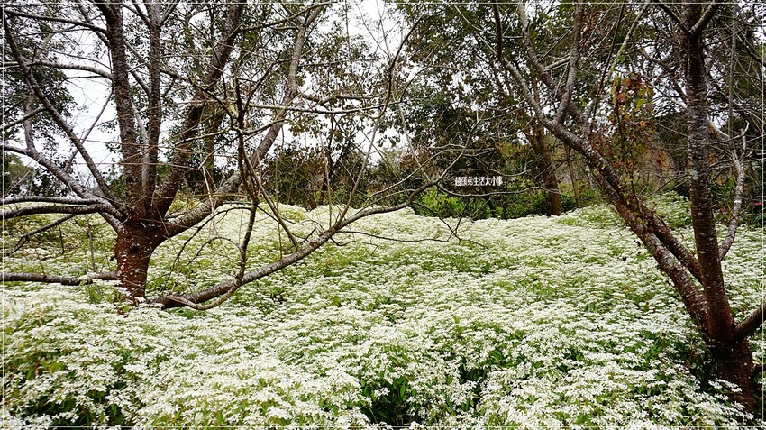 /tmp/php6BxYwn /tmp/php6BxYwn