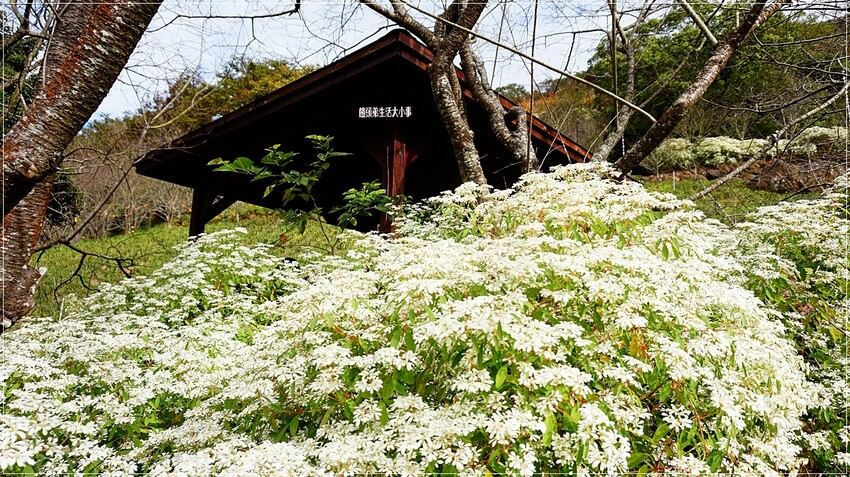 /tmp/phpB7SN5T /tmp/phpB7SN5T