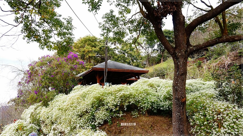 /tmp/phpL1Ss45 /tmp/phpL1Ss45