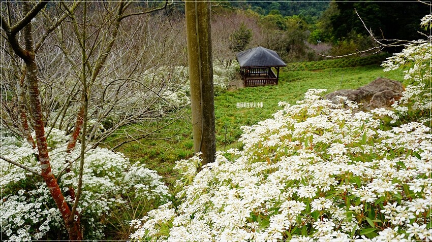 /tmp/phpc7pH8Q /tmp/phpc7pH8Q