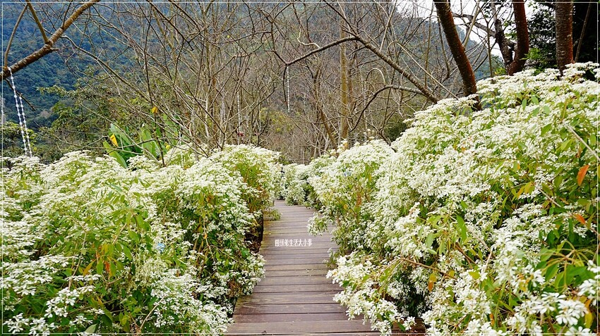 /tmp/phpKavBtl /tmp/phpKavBtl