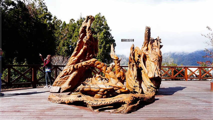 /tmp/phprO2fIM /tmp/phprO2fIM