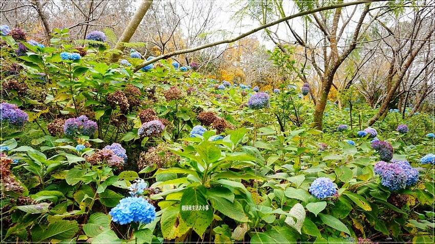 /tmp/php8PLvwH /tmp/php8PLvwH