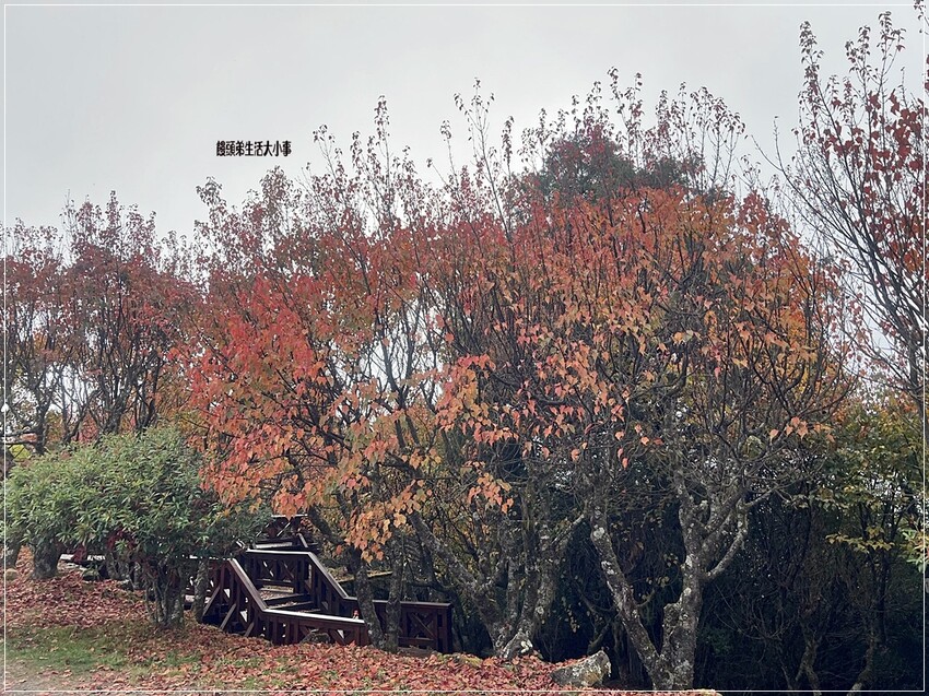 /tmp/php8RU82s /tmp/php8RU82s