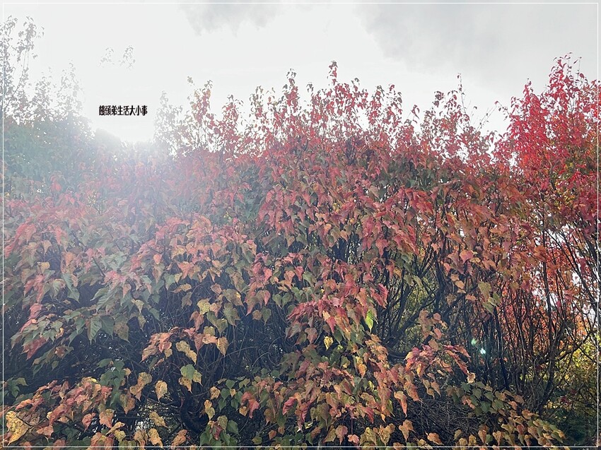 /tmp/phpRaTXnp /tmp/phpRaTXnp